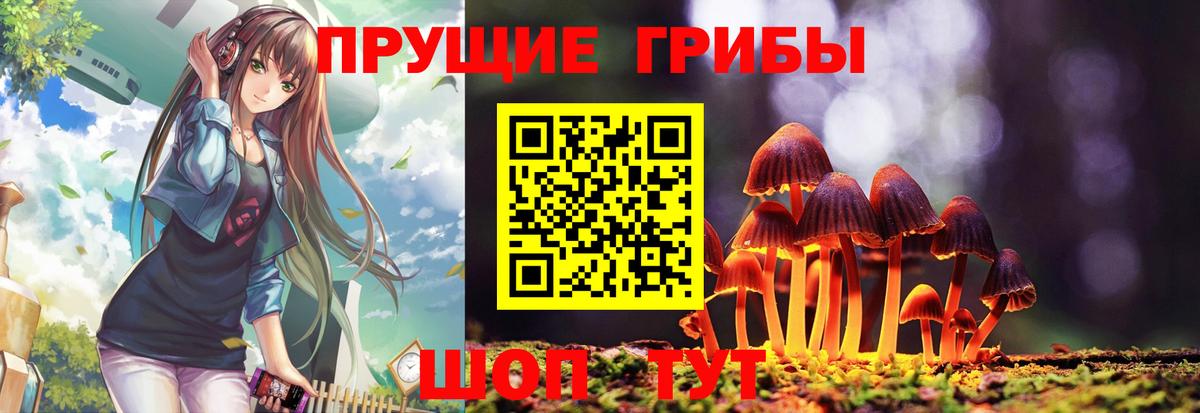 Псилоцибиновые грибы MAGIC MUSHROOMS  Вход с VPN  Нововоронеж 