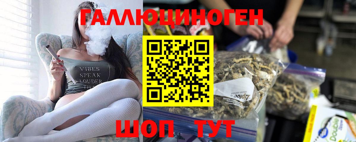 Галлюциногенные грибы Magic Shrooms Нововоронеж